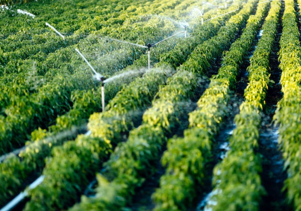 iffco-csc spv-agriculture-ecommerce