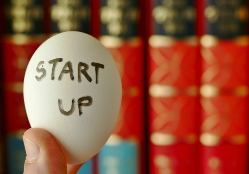 early stage-startups club-incubator