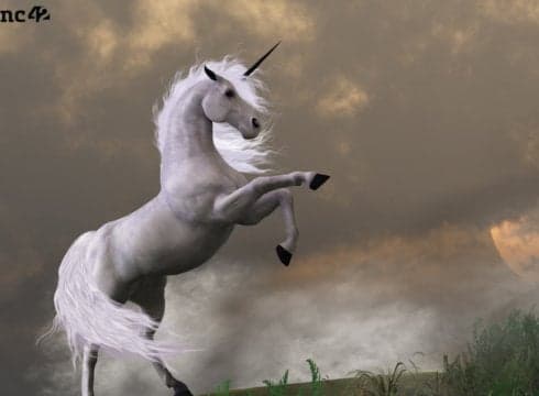 tech startups-unicorn-startups