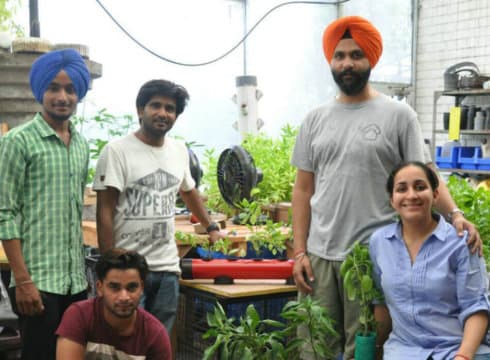 agritech-startup-pindfresh-creates-city-farms-to-grow-pind-style-veggies