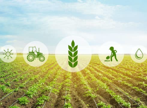 Agritech Startup WayCool Looks To Expand South With $16.9 Mn Funding