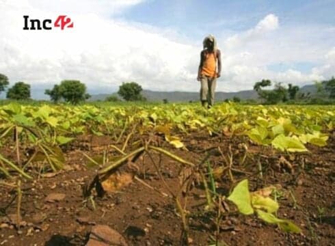 Despite Agri Financing Tech Growth, Over Half Of India’s Small Farmers Struggle For Credit