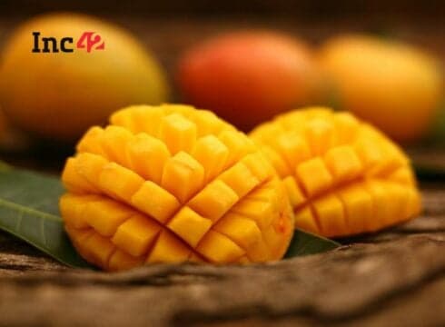 With Mango Crunch, Seasonal Supply Chain Becomes New Focus For Agritech Startups