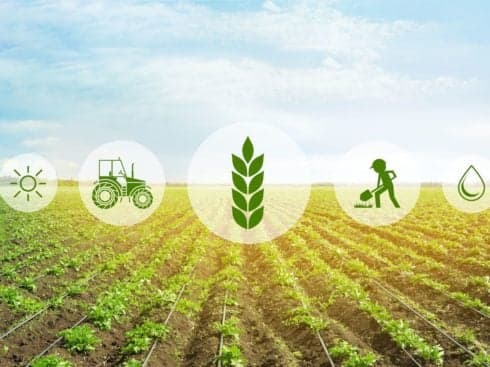 Agritech Startup Gramophone Raises INR 25 Cr In Round Led By Siana Capital