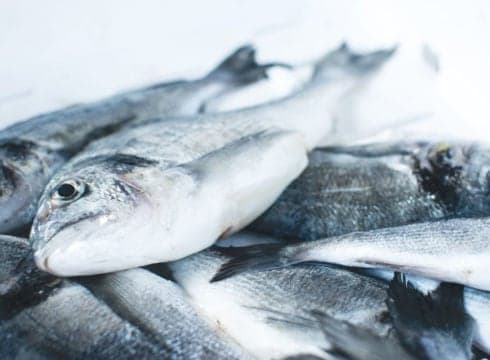 Seafood Marketplace Startup Captain Fresh bags $12Mn In Series A Round Led By Accel