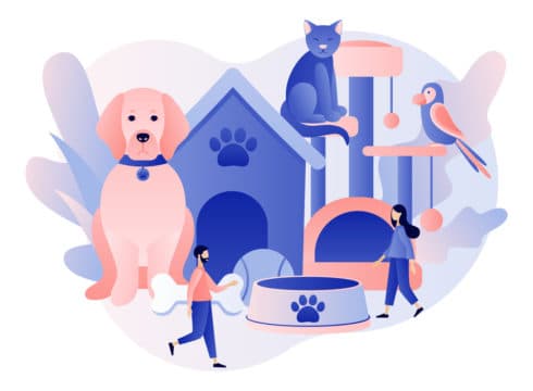 Pet Care Platform Supertails Raises $2.6 Mn Led By Saama Capital and DSG Consumer Partners