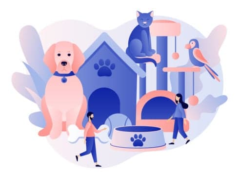 Pet Care Platform Supertails Raises $2.6 Mn Led By Saama Capital and DSG Consumer Partners