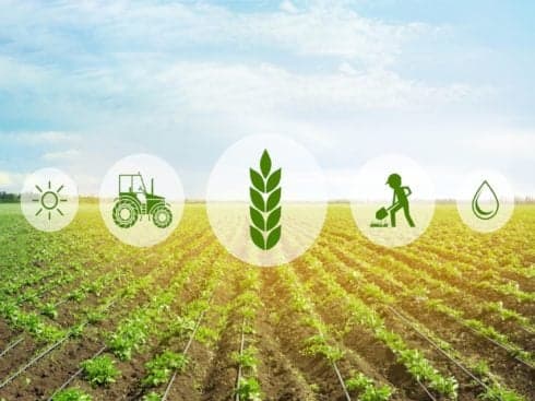 Exclusive: Agritech Startup Agrostar To Raise $7 Mn From Accel, Bertelsmann