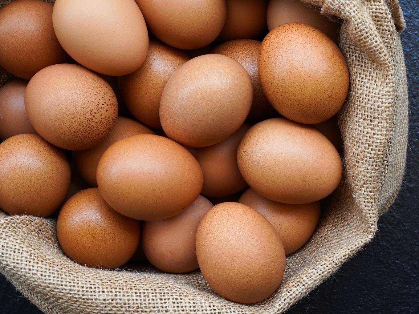 Egg Procurement And Delivery Startup Eggoz Raises Series A Funds