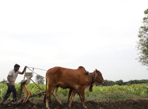 RBI Targets Digitalisation Of Kisan Credit Card Lending, To Begin Pilot Project In Sept