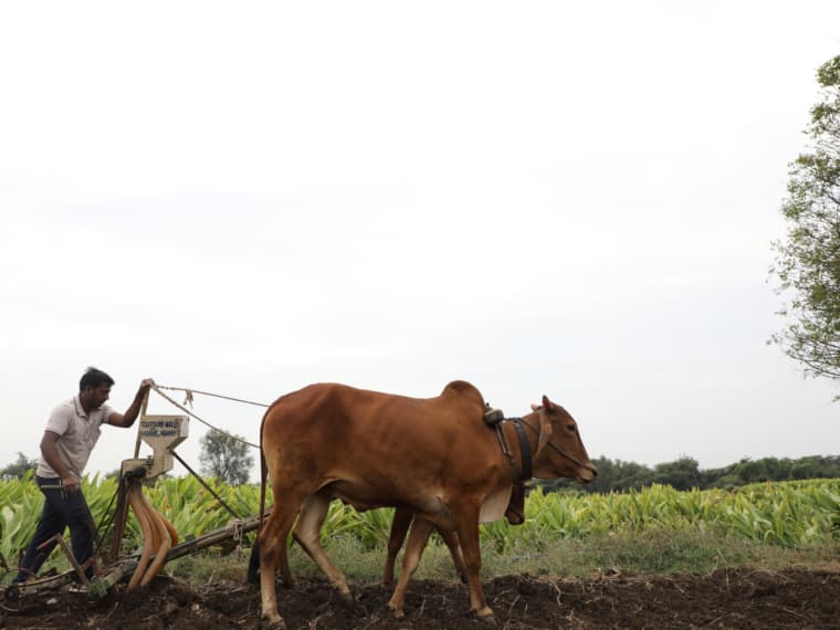 RBI Targets Digitalisation Of Kisan Credit Card Lending, To Begin Pilot Project In Sept