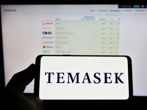 India Was Third Biggest Destination For Temasek Capital In FY24