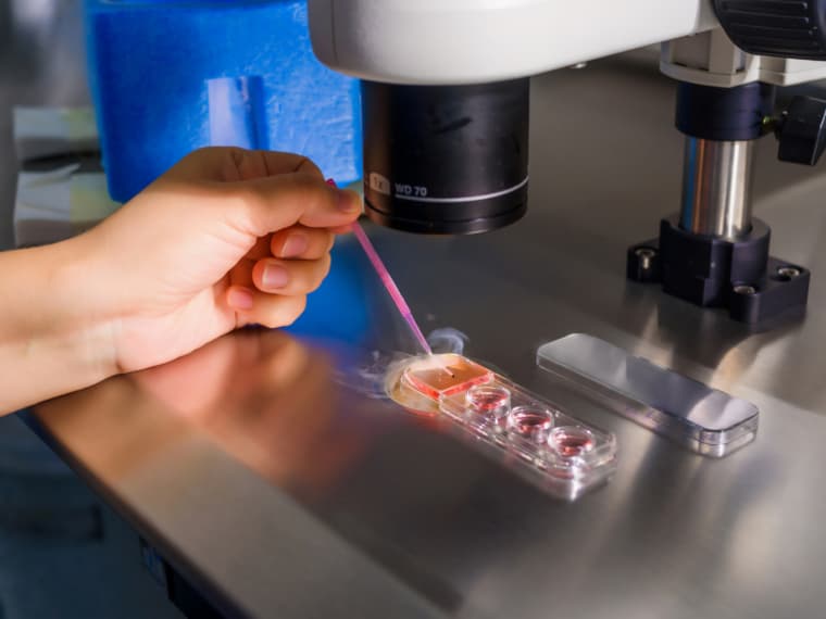 Pluro Fertility Nets INR 125 Cr At INR 1,000 Cr Valuation