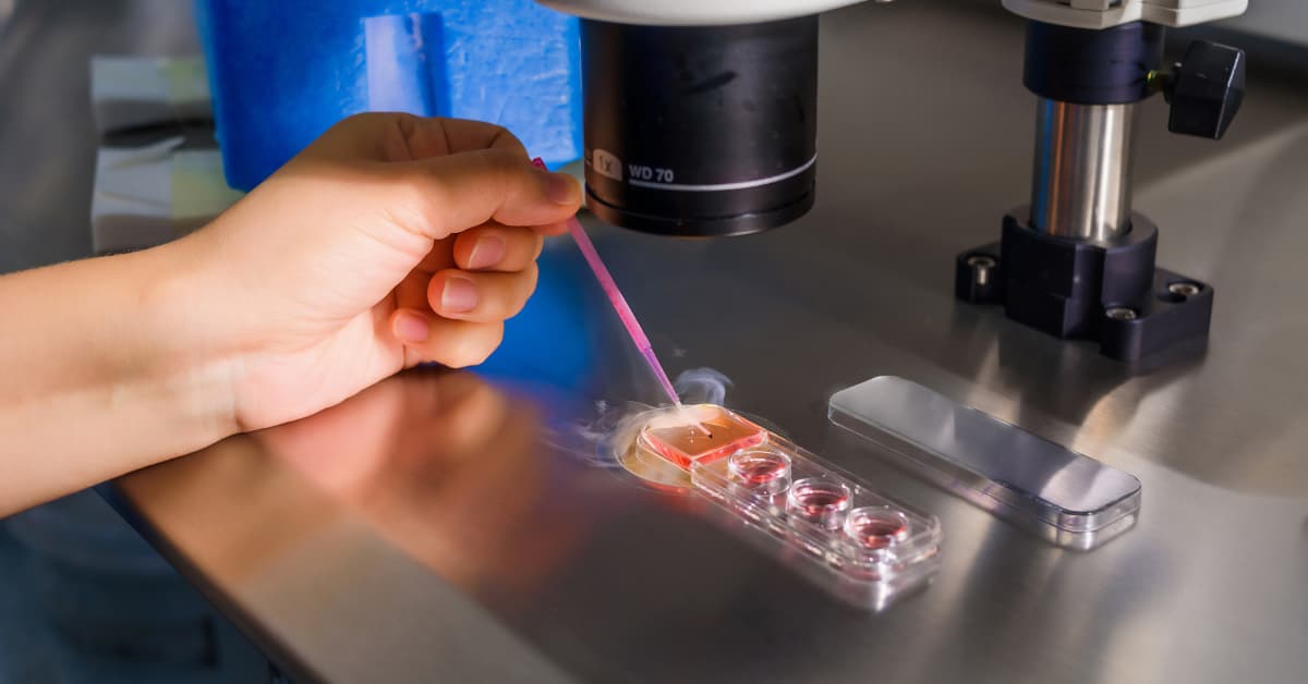 Pluro Fertility Nets INR 125 Cr At INR 1,000 Cr Valuation