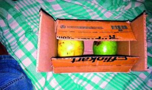 flipkart mangoes