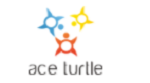 ace turtle-indian startup funding-startup funding