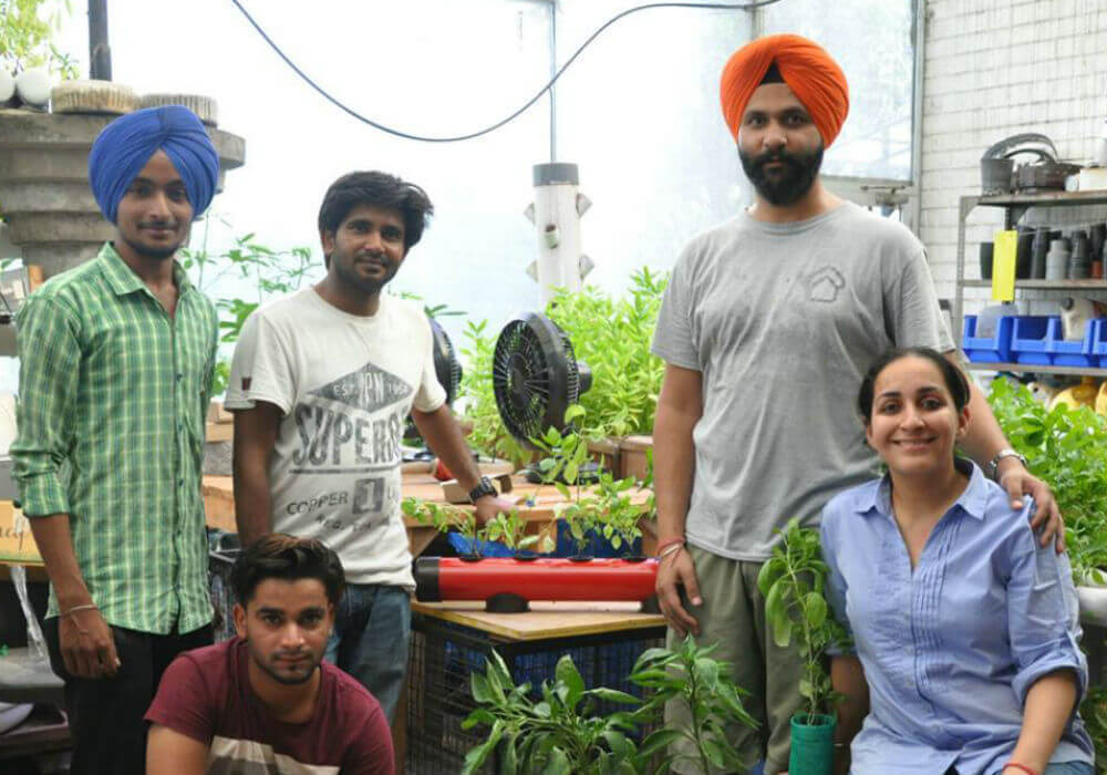 agritech-startup-pindfresh-creates-city-farms-to-grow-pind-style-veggies