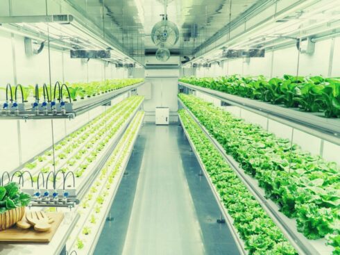 AgTech Trends You Should Look Out For In 2020