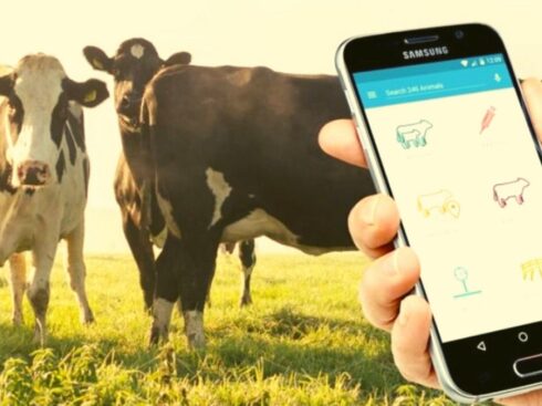 Livestock Business: Prospects For Digitalization