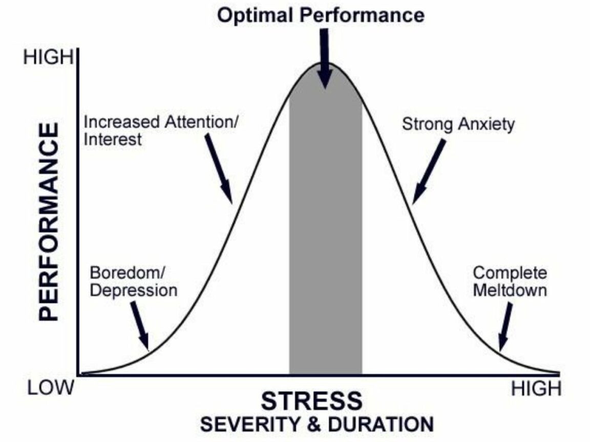 5 Ways Smart People Beat Stress And Become Productive