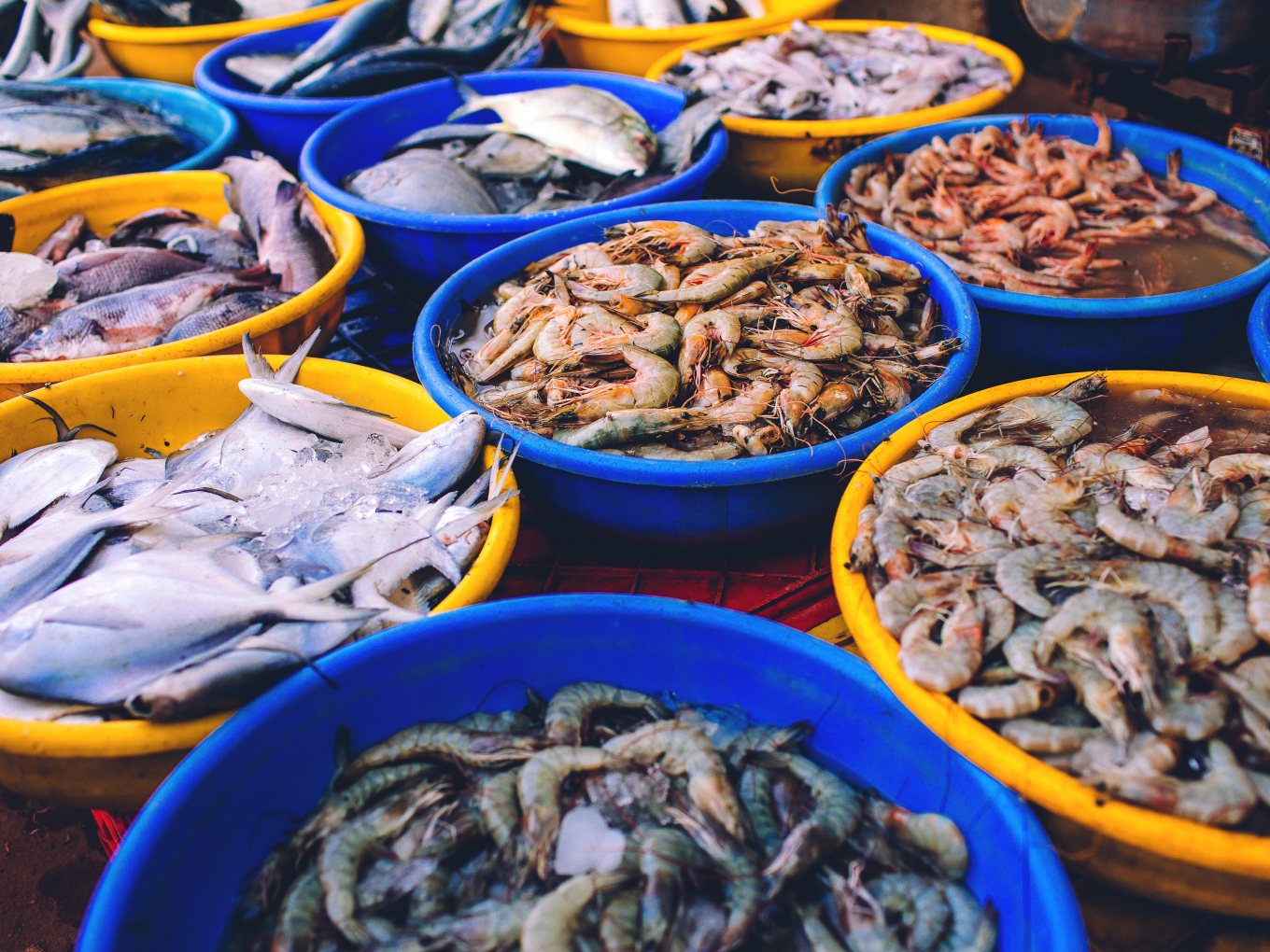 Seafood Supply Chain Startup Captain Fresh Looks To Take On Aquaconnect With $2.3 Mn Funding