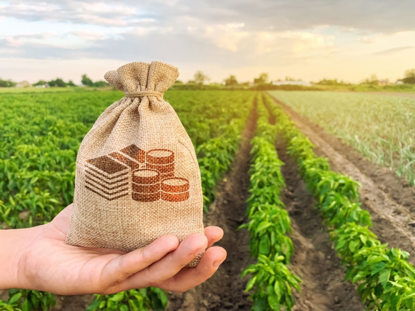 BSE's Electronic Spot Platform Aims To Open Up Agricultural Commodity Trading