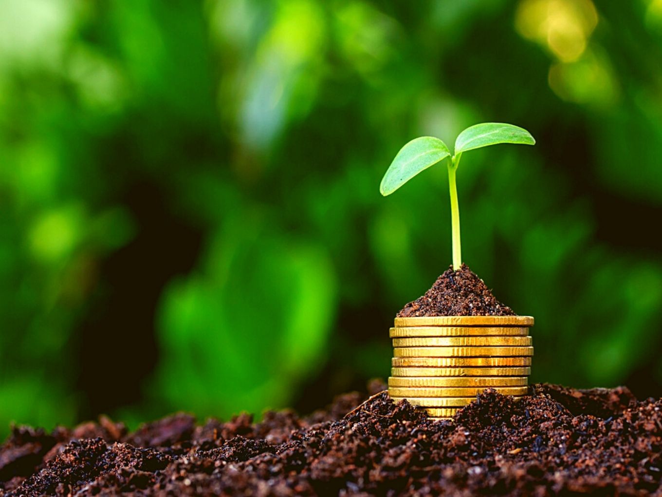 INR 945 Cr Startup India Seed Fund Plans Support For 3.6K Startups