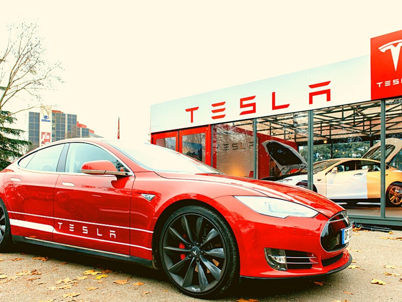 Tesla India Picks Prime Spot In South Mumbai For Store, Corporate Base