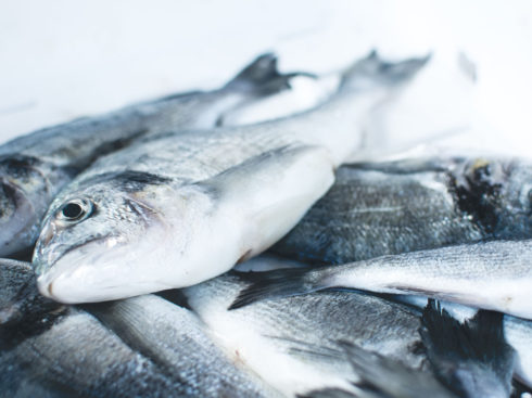 Seafood Marketplace Startup Captain Fresh bags $12Mn In Series A Round Led By Accel