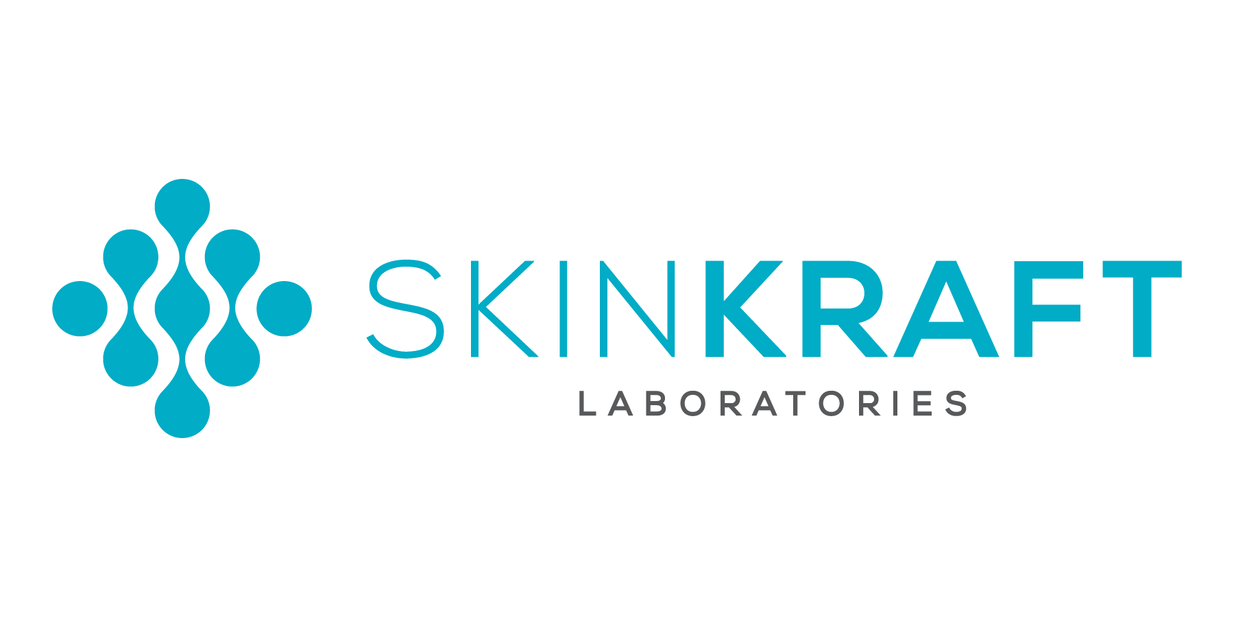 The D2C Summit Sponsor - SkinKraft