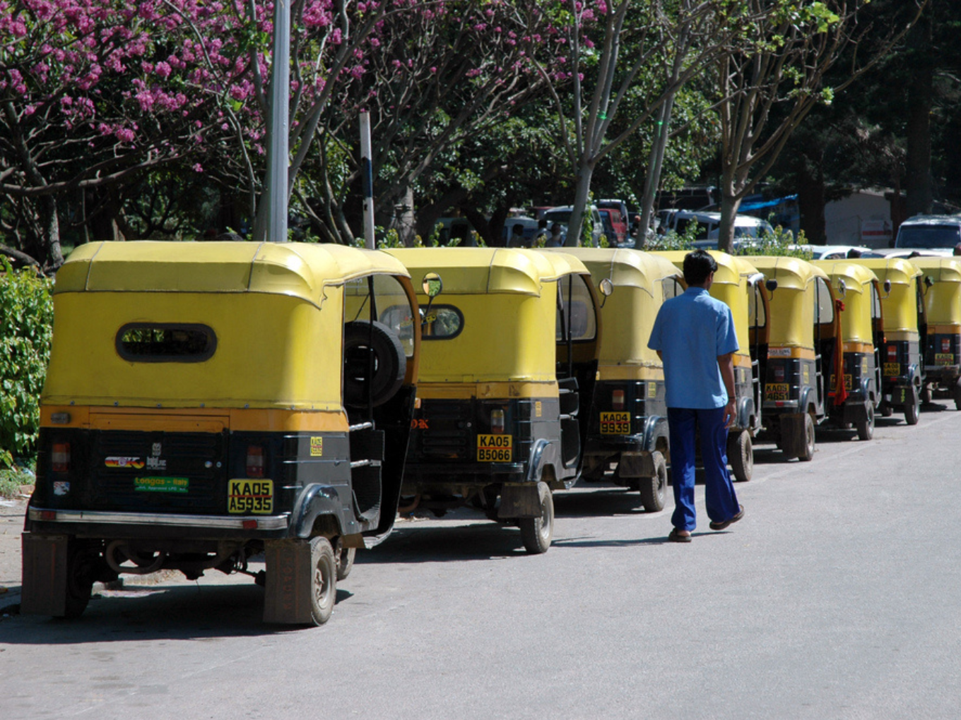 karnataka hc allows ola, uber, rapido to continue auto services