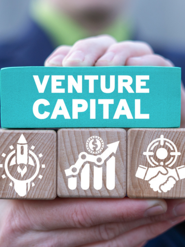 5 Key Principles Of VC Investment